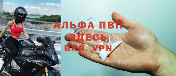 твердый Инсар