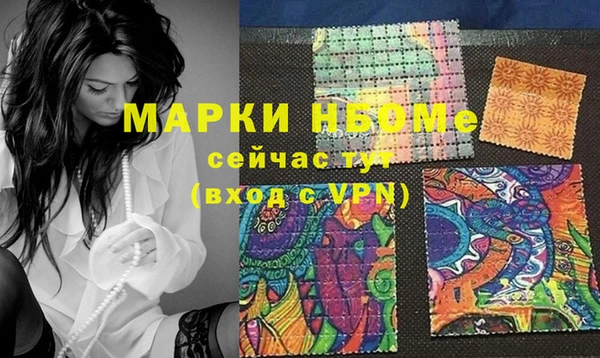 твердый Инсар