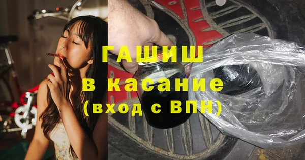 твердый Инсар