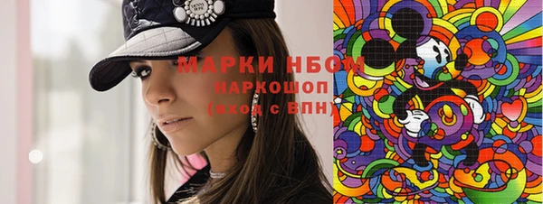 твердый Инсар