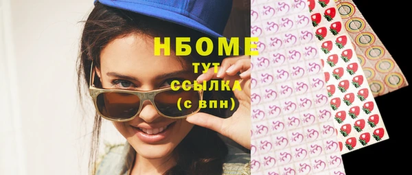 твердый Инсар