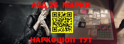 дмт Кингисепп
