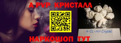дмт Кингисепп