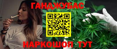 дмт Кингисепп