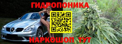 дмт Кингисепп